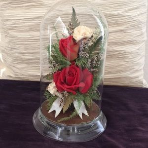 The Timeless Rose showcase